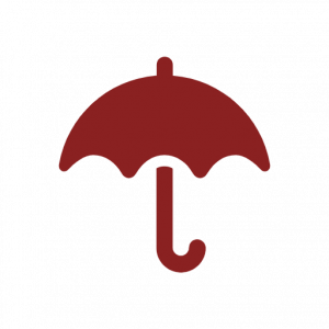 Resilience and Adaptability icon